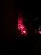 Arispap
